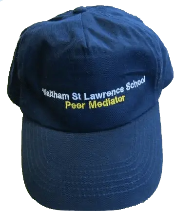 Peer-Mediator-Cap.png